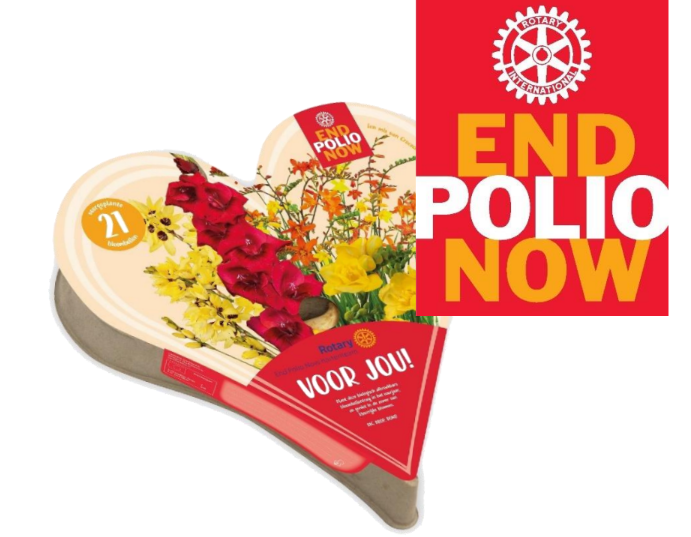 End Polio Now hart